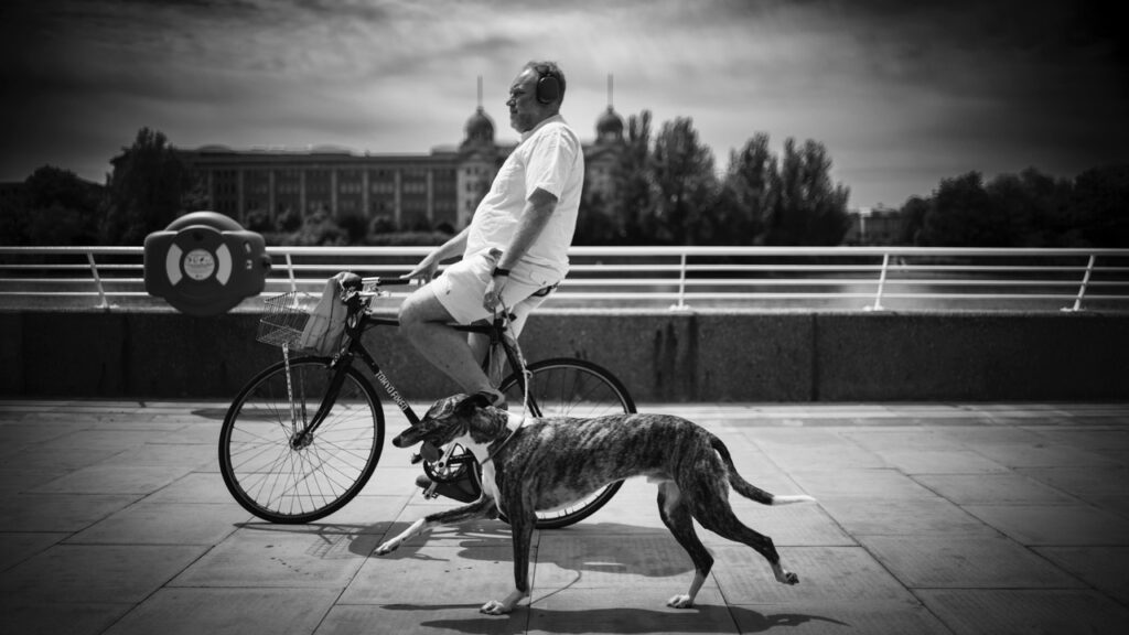 man on a bike walking a dog